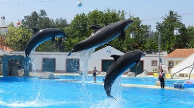 리스본 동물원 (자르딩 주올로지쿠 드 리스보아)